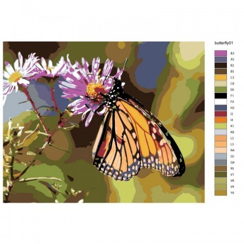 Картина по номерам, 40 x 50, KTMK-butterfly01
